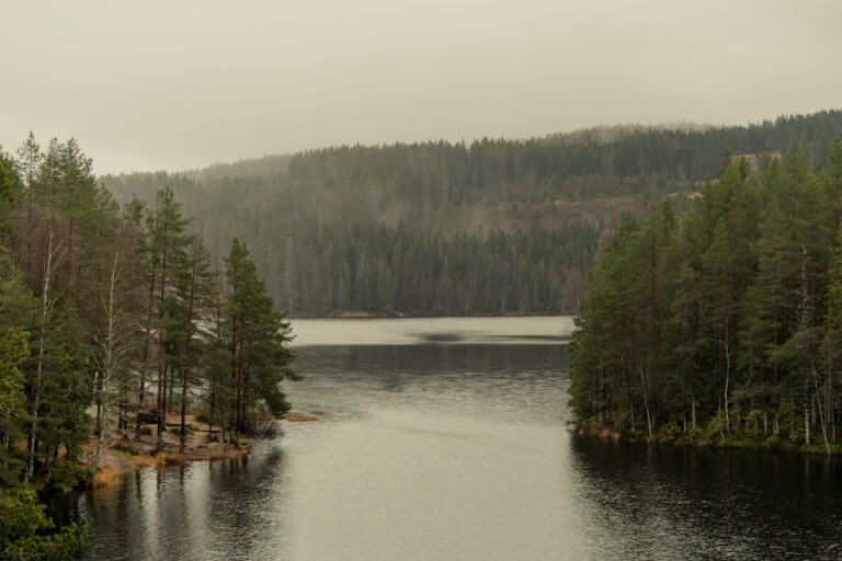 Scandinavia’s best places for camper travel