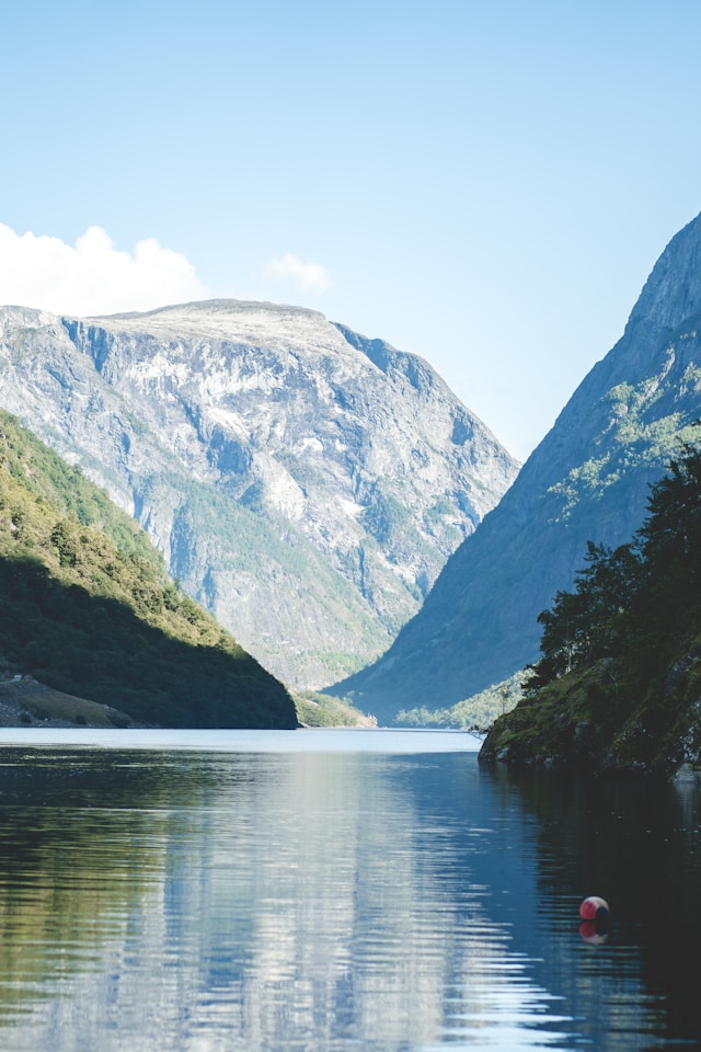 madara-lielpetere-fvGDhoXc9-E-unsplash