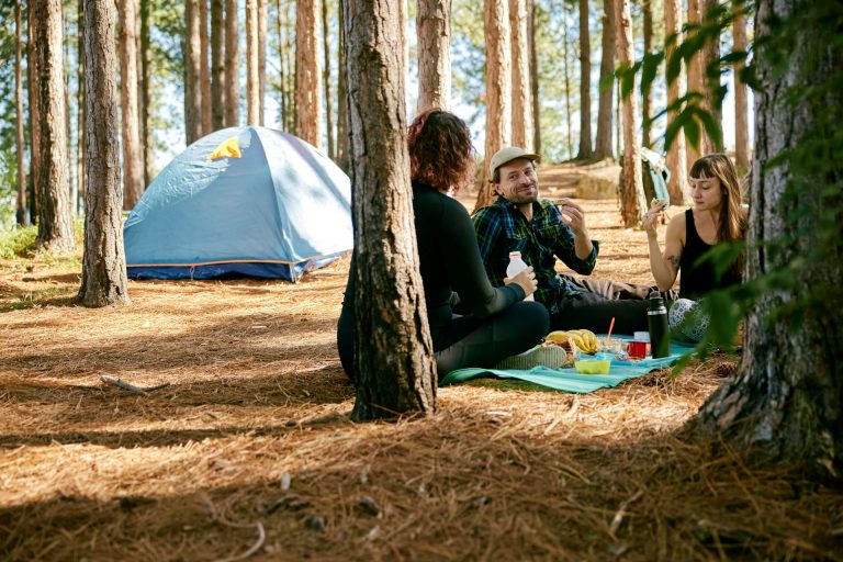 Local regulations and labeling – campsites in Norway, Sweden and Denmark
