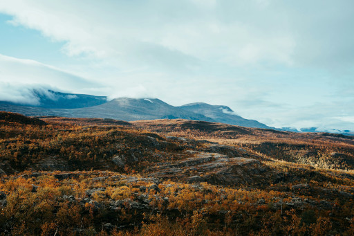 Finland – Malla Nature Reserve