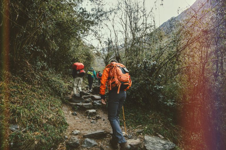 How to choose the right sports shoes for running, trekking and hiking