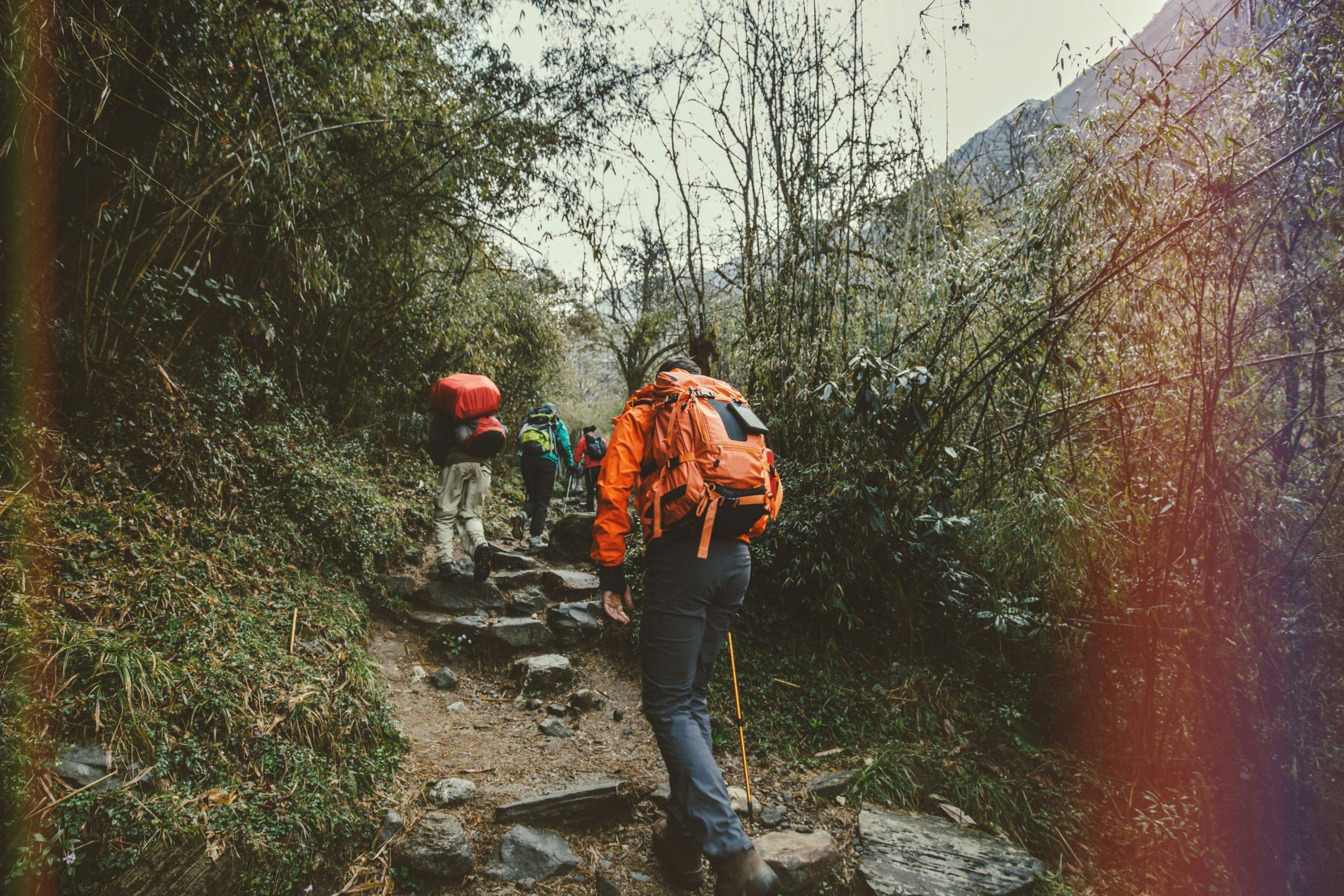 How to choose the right sports shoes for running, trekking and hiking