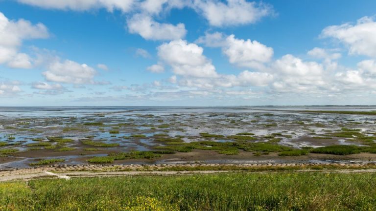 Rømø: The Danish Island Where You Can Drive Right Onto the Beach.