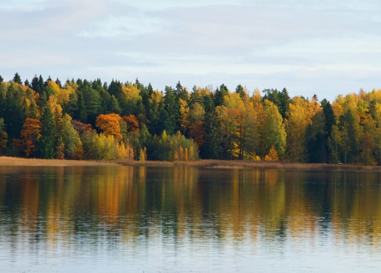 Traveling Finland by Bus: How to Plan a Budget-Friendly Trip to the North.