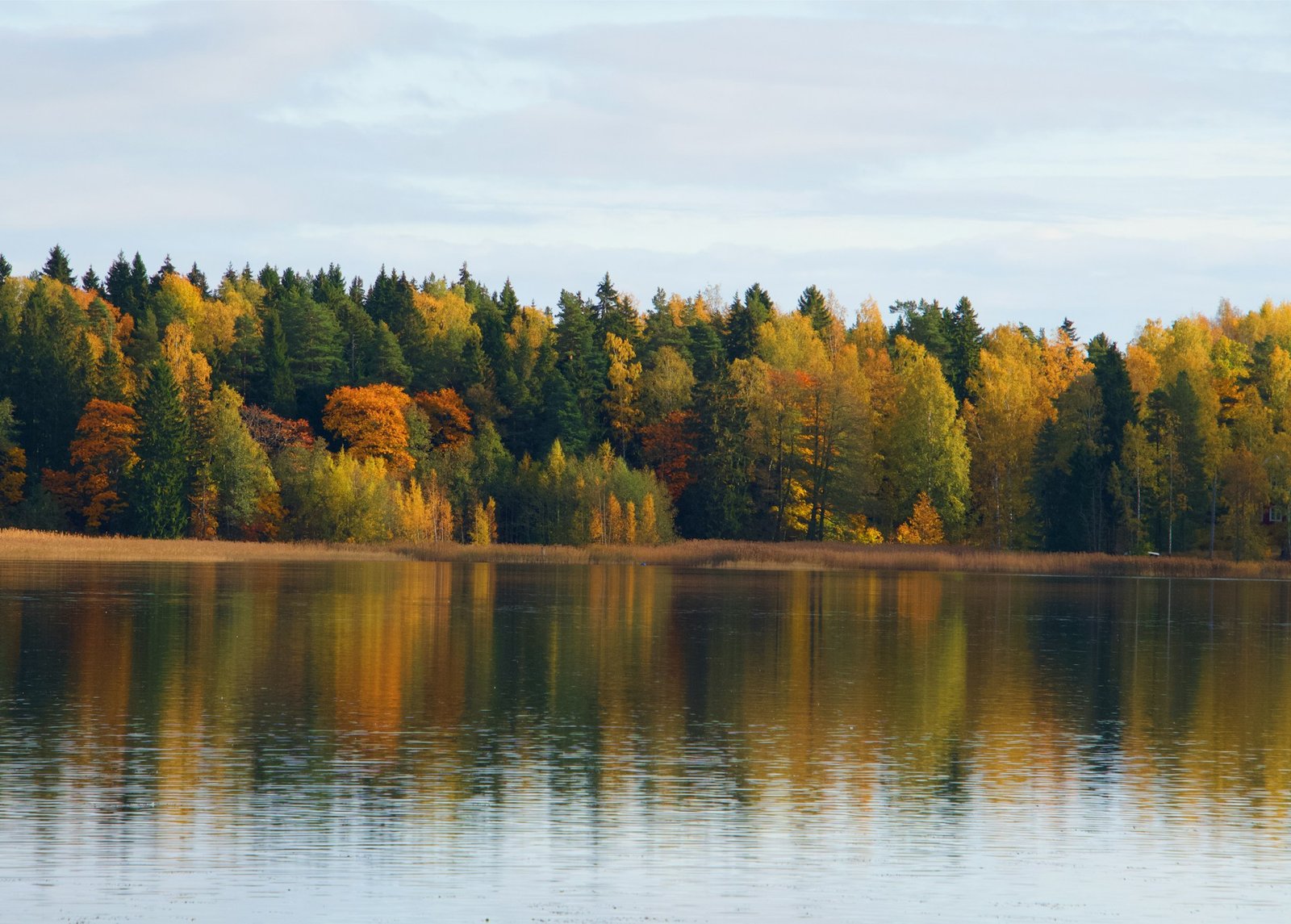 Traveling Finland by Bus: How to Plan a Budget-Friendly Trip to the North.